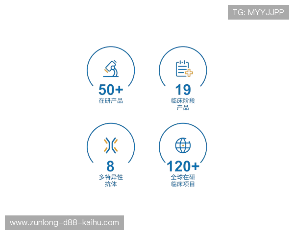 尊龙z6.com网址官方网站注册流程详解与账号安全保障措施