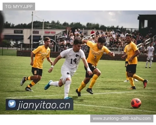 凯时凯时首页：每日签到奖励与积分兑换系统详细介绍