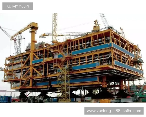 深度挖掘尊龙旗舰平台的安全性与保障措施